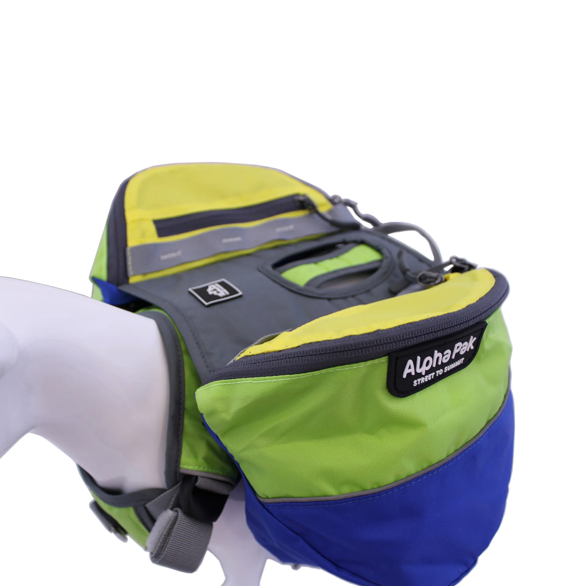 Adventurer 2-piece Dog Pack With EZ Latch™  Harness - RAIN FOREST - WHOLESALE