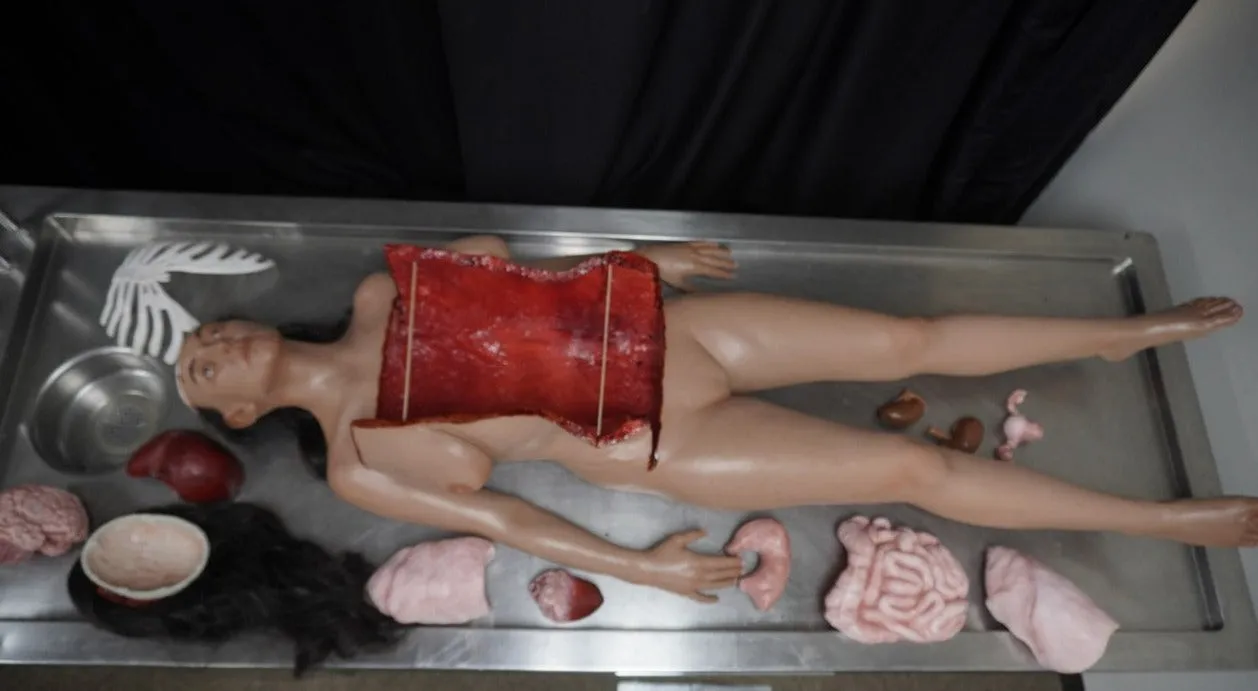 Autopsy Lucy with Removable Skull Cap and Brain