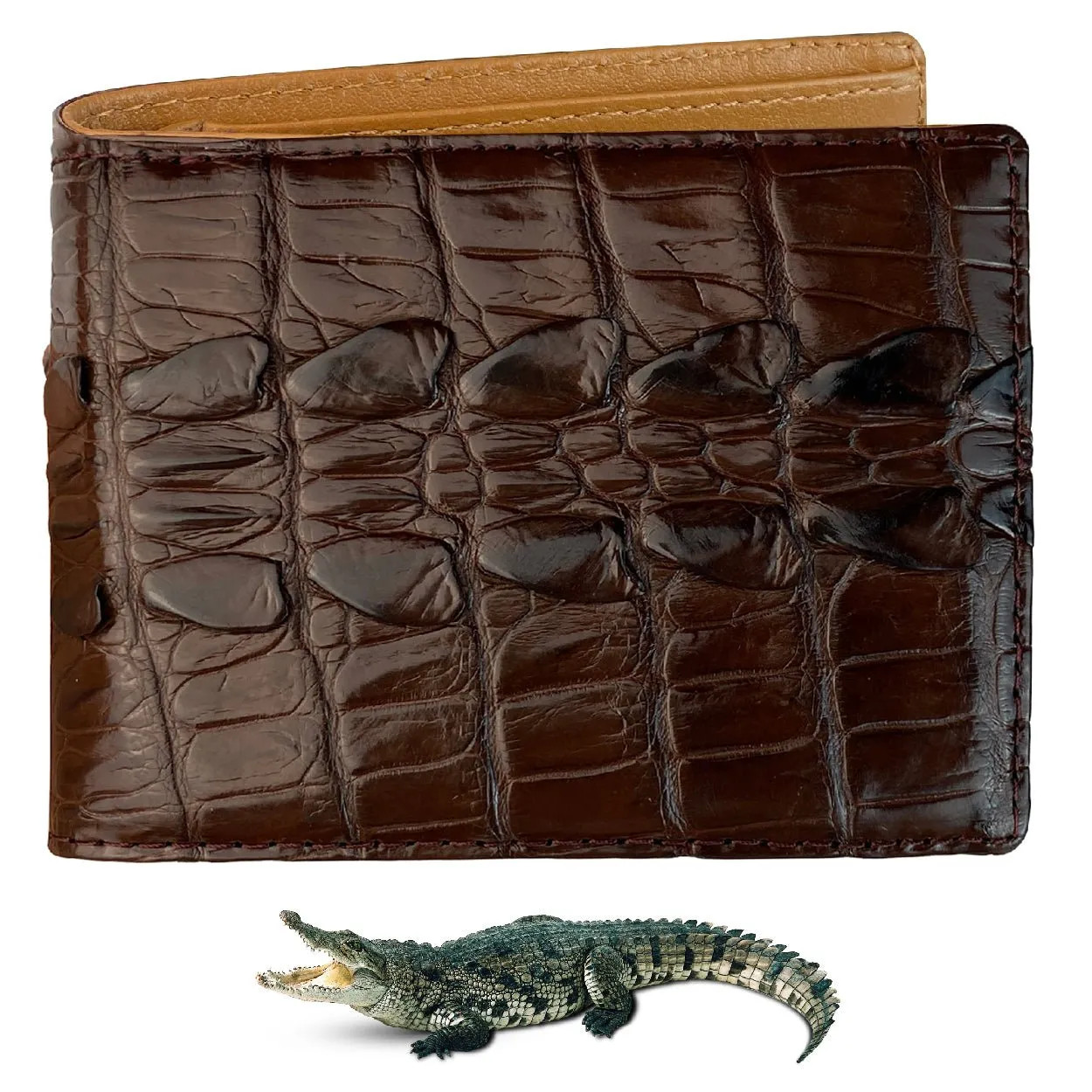 Dark Brown Alligator Tail Leather Bifold Wallet RFID Blocking | VINAM-101