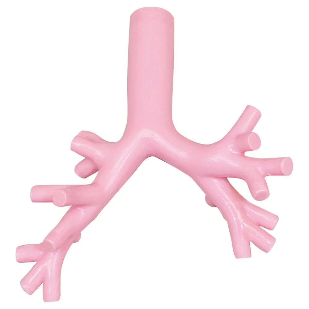 Difficult Airway Management Bronchoscopy Model