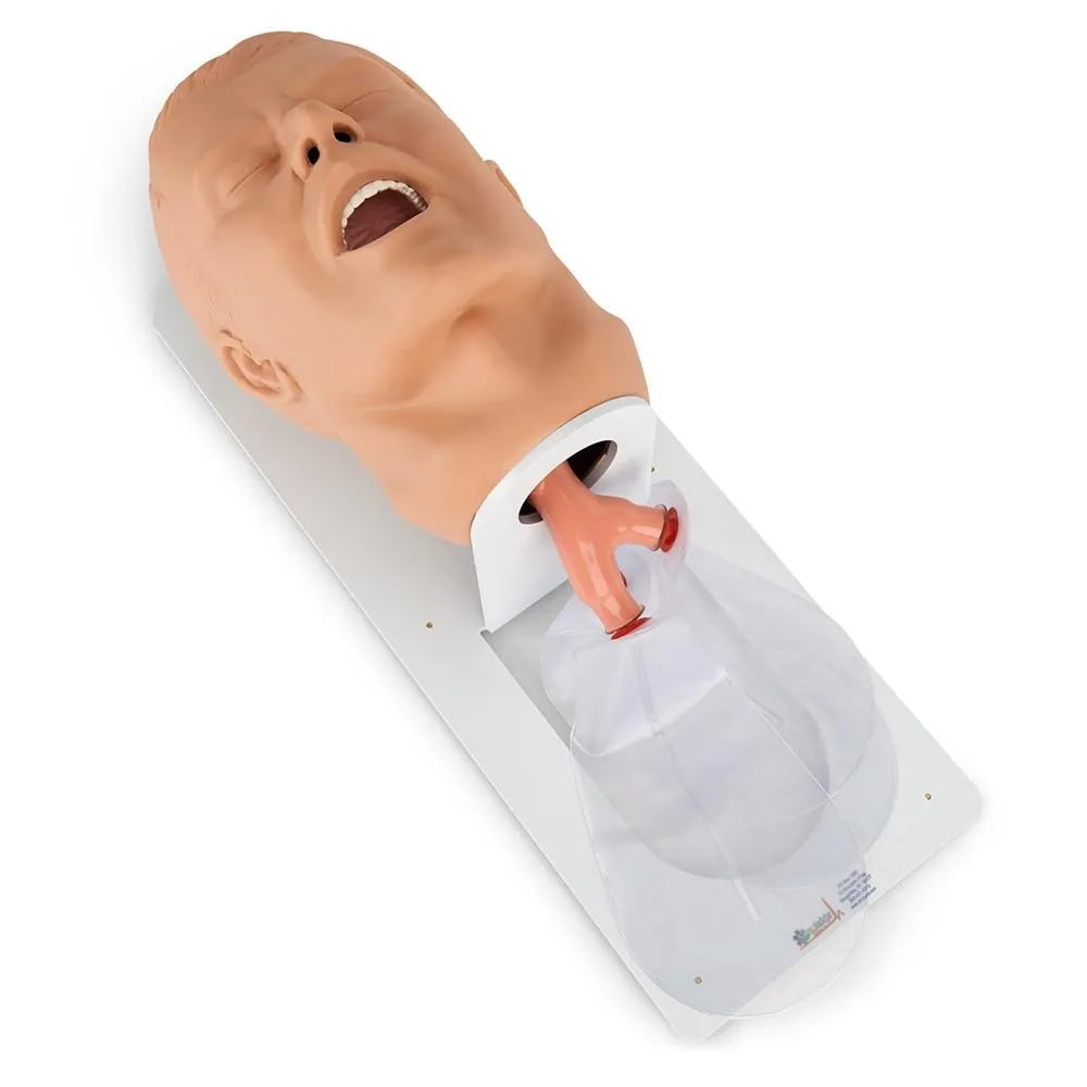 Economy Adult Airway Management Trainer with Board