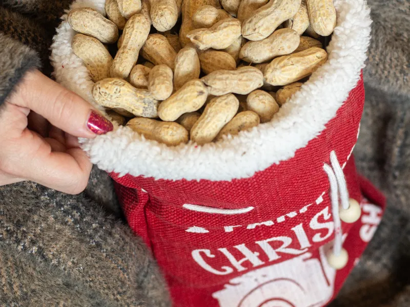 Farm Fresh Christmas Salted in the Shell Peanuts, 1.25 lb