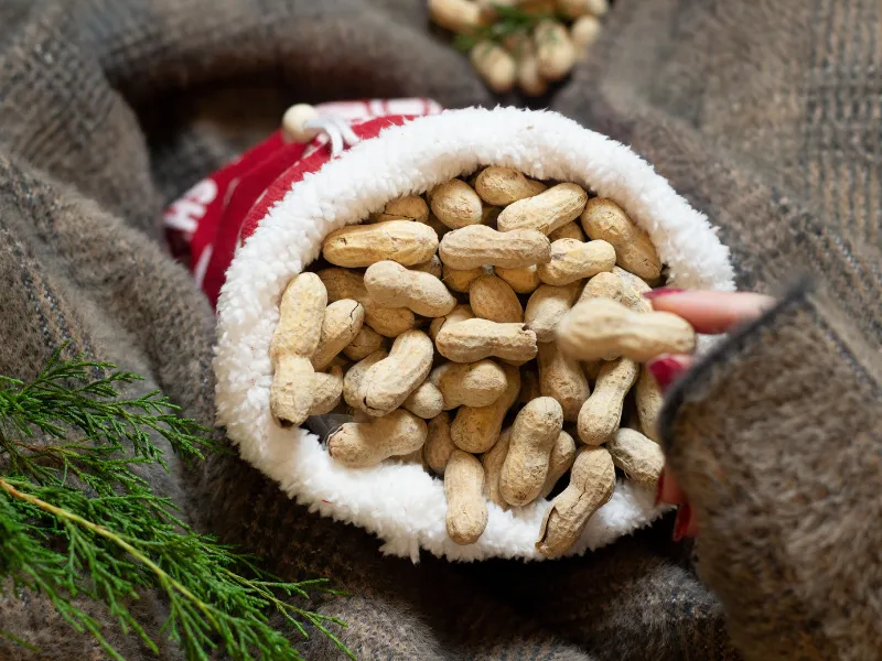 Farm Fresh Christmas Salted in the Shell Peanuts, 1.25 lb