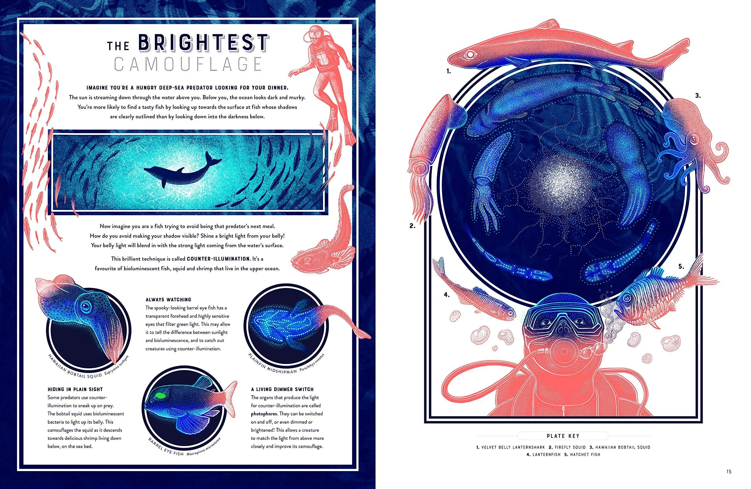 Glow: The Wild Wonders of Bioluminescence