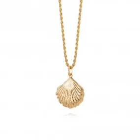 Isla Large Shell 18ct Gold Plate Necklace SN04_GP