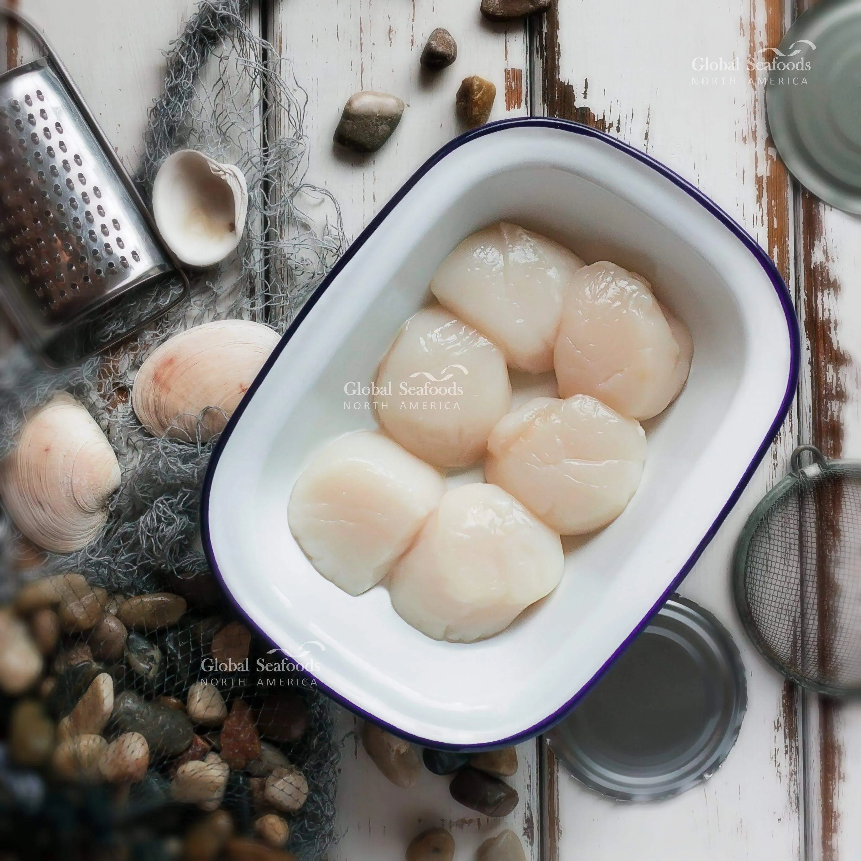 Jumbo Sea Scallops – Premium Wild-Caught Scallops | Global Seafoods