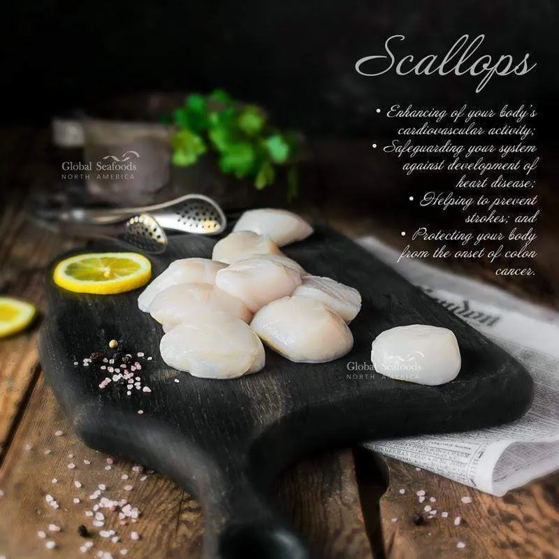 Jumbo Sea Scallops – Premium Wild-Caught Scallops | Global Seafoods