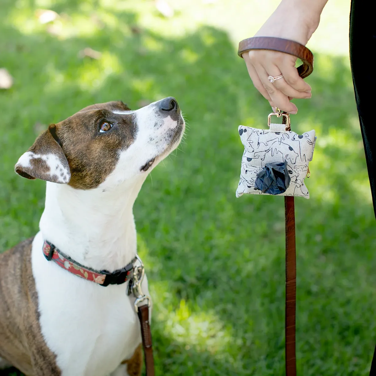 Nosey Dog Spot Dog Waste Bag Dispenser