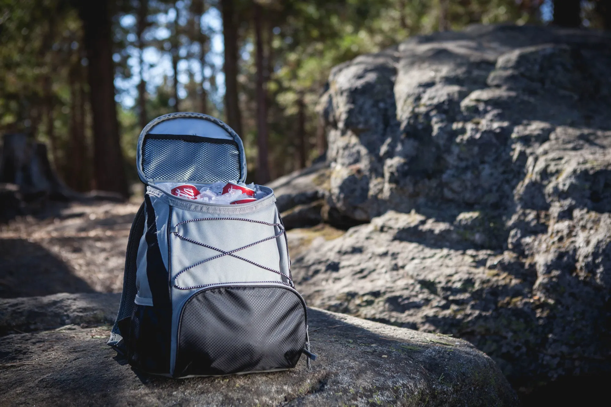 Super Bowl 53 - PTX Backpack Cooler